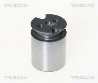 Triscan Kolben, Bremssattel Hinterachse U.A. FüR CitroËN, Toyota