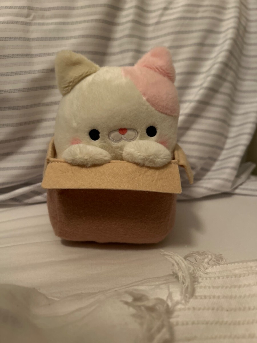 Takashoji Cat In Box 7