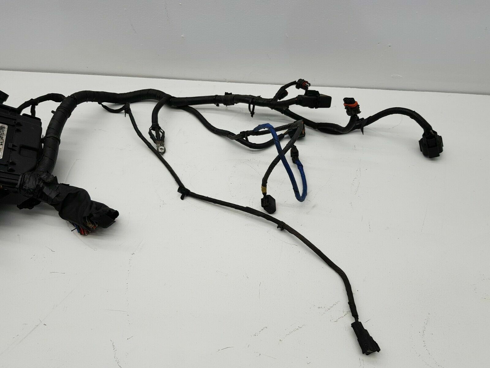 Picture 5 of 7