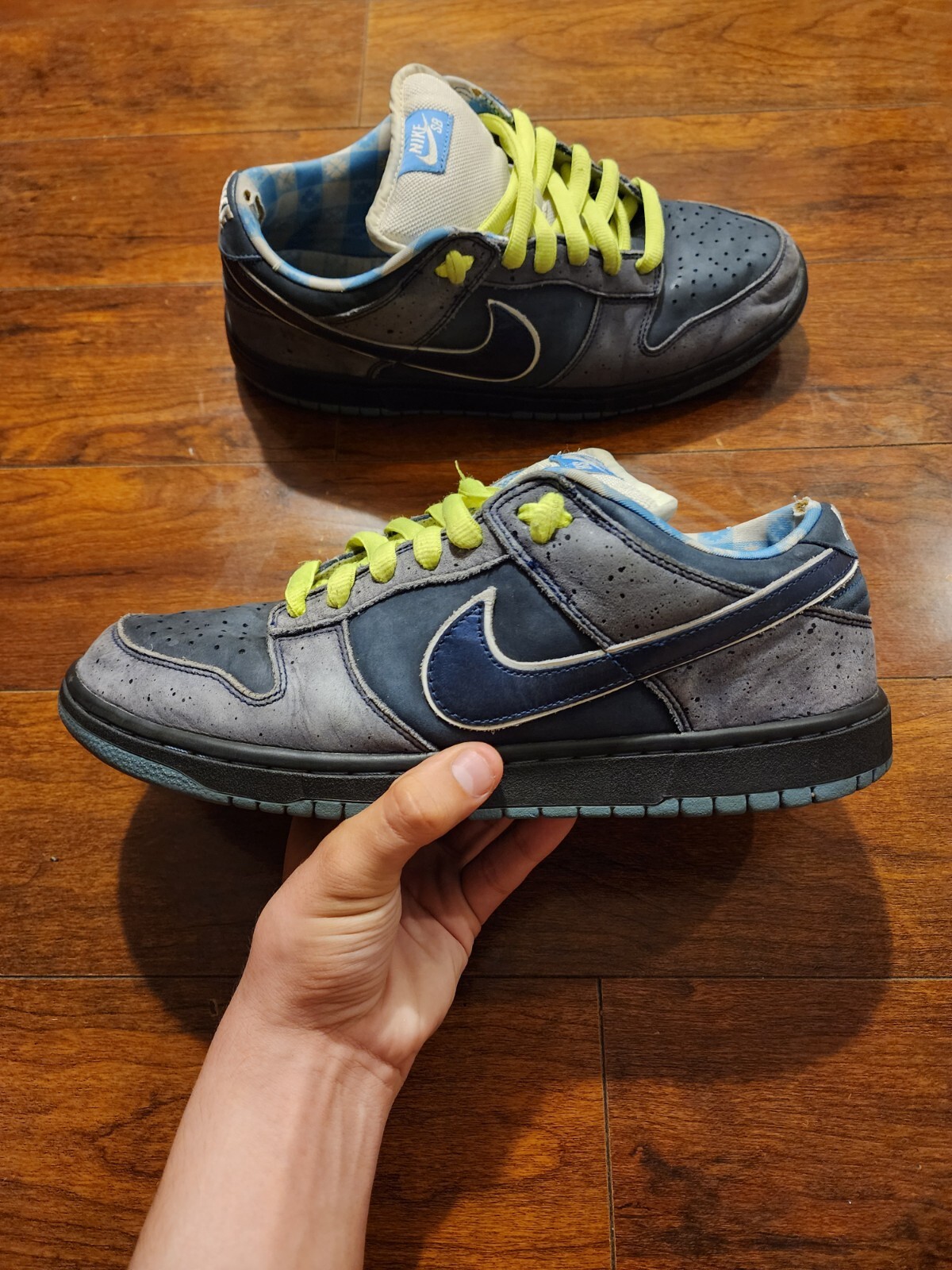 Size 11 - CLEAN Nike SB Dunk Low Premium Blue Lobster… - Gem