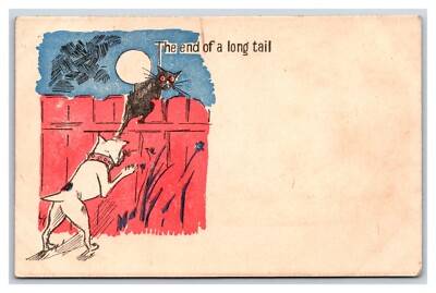 Comic Dog Chasing Cat Over Fence End of a Long Tail UNP DB Postcard R26