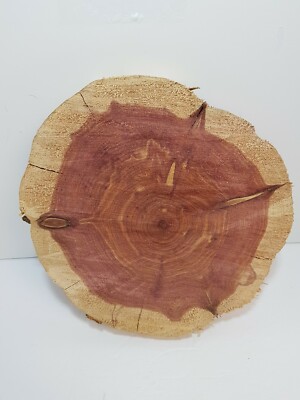 NATURAL ROUGH CUT CEDAR DISK TRIVET GREAT FOR CLOSETS CRAFTS AND MORE