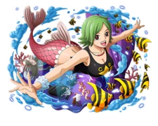 Keimi One Piece Waifu Weatherproof Anime Sticker 6" Car Decal