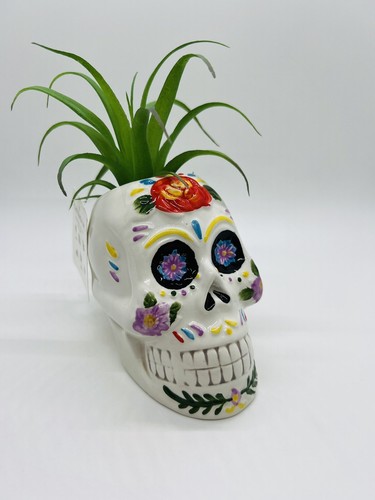 Calavera de azúcar de cerámica blanca del Día de los Muertos con imitación suculenta decoración de Halloween regalo - Imagen 2 de 12