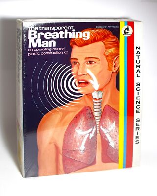 Lindberg 1305 The Transparent Breathing Man 12'' Anatomical Plastic Model Kit