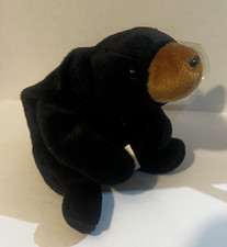 TY Beanie Baby/Babies Blackie The Bear - Excellent Condition with Tag
