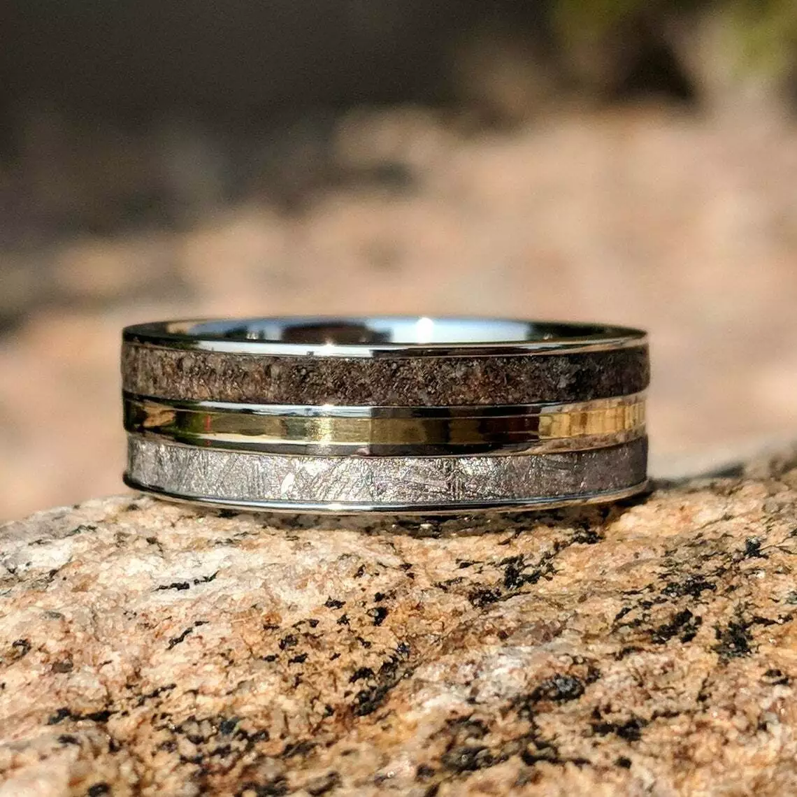 Dinosaur and cheap meteorite ring