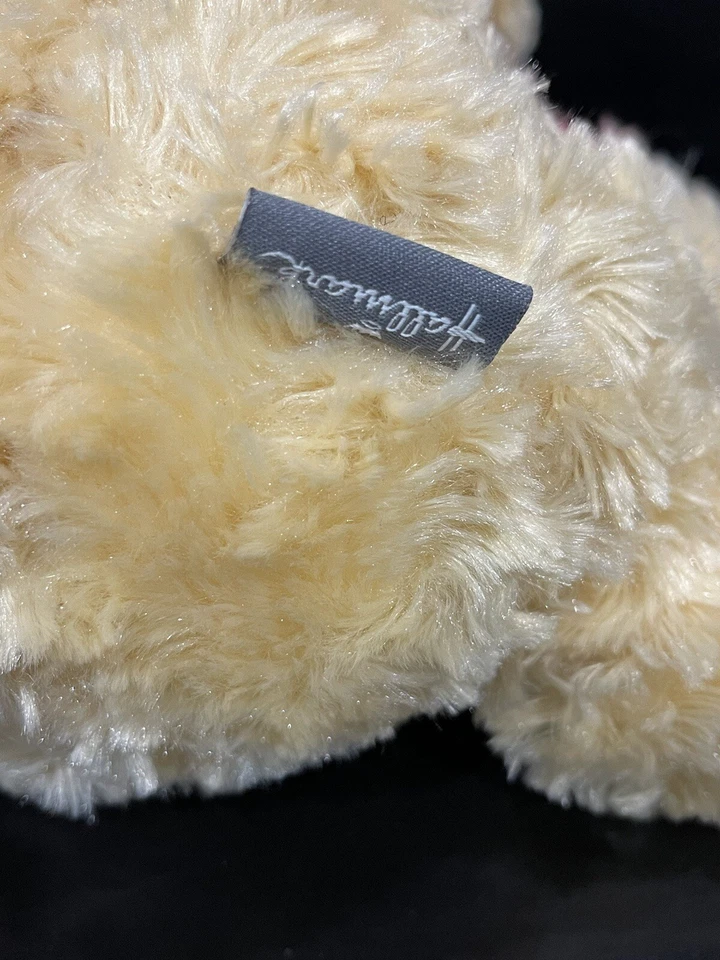 Peluche Disney Baby First Winnie the Pooh Peluche Sello Excelente Raro Foto 4 de 4