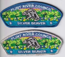 Flint River Council Csp (242)