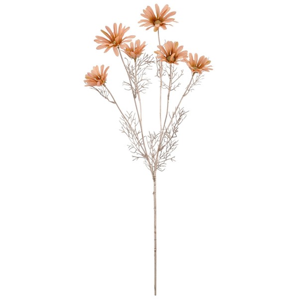 KüNstlicher Margeritenzweig, 3Er Set, Farbe Apricot, HöHe Ca. 82 Cm-image