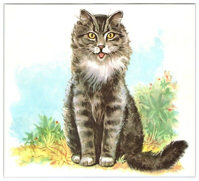 from cat st　10冊 GREY GRAY CAT Vintage 1950's 6.5