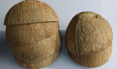 Ceylon 100% Natural Coconut Shell Halves Eco friendly pure coconut shell 2 pcs