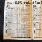Lincoln Greyhound Dog Racing,  Race Of champions  1985 DUTCH BAHAMA — photo 6