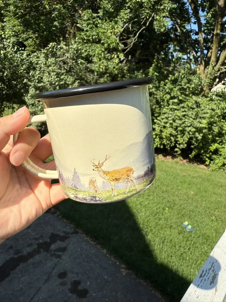 Деревенская эмалированная металлическая кружка для кемпинга винтажный стиль кофейная чашка подарок для кемпера на открытом воздухе - Изображение 4 из 4