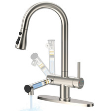 Kitchen Sink Faucet with Filtered Stainless Steel Pull down Sprayer Swivel Mixer