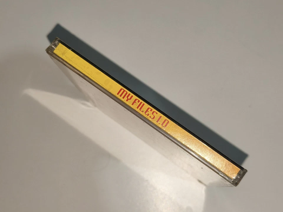 Software PC CD-Rom "My File 2 - Il Database Multimediali"  Sis 1998 nuovo - Immagine 4 di 4