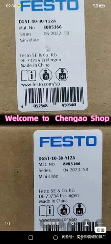 1PC NEW DGST-10-30-Y12A Cylinder DHL/FedEx#B5130HCL - Bild 1 von 1