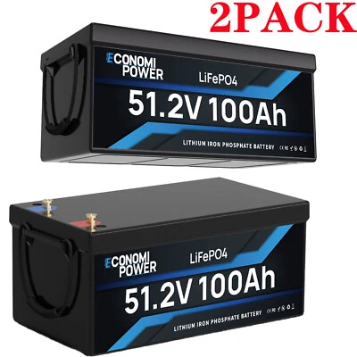 ECONOMIPOWER 2X 48V 100Ah LiFePO4 Akku Batterie mit BMS für Solarenergiespeicher Wohnmobil RV