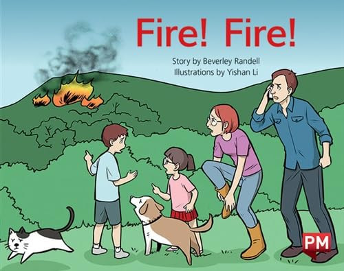 PM YELLOW FIRE FIRE PM STORYBOOKS LEVEL - Image 2