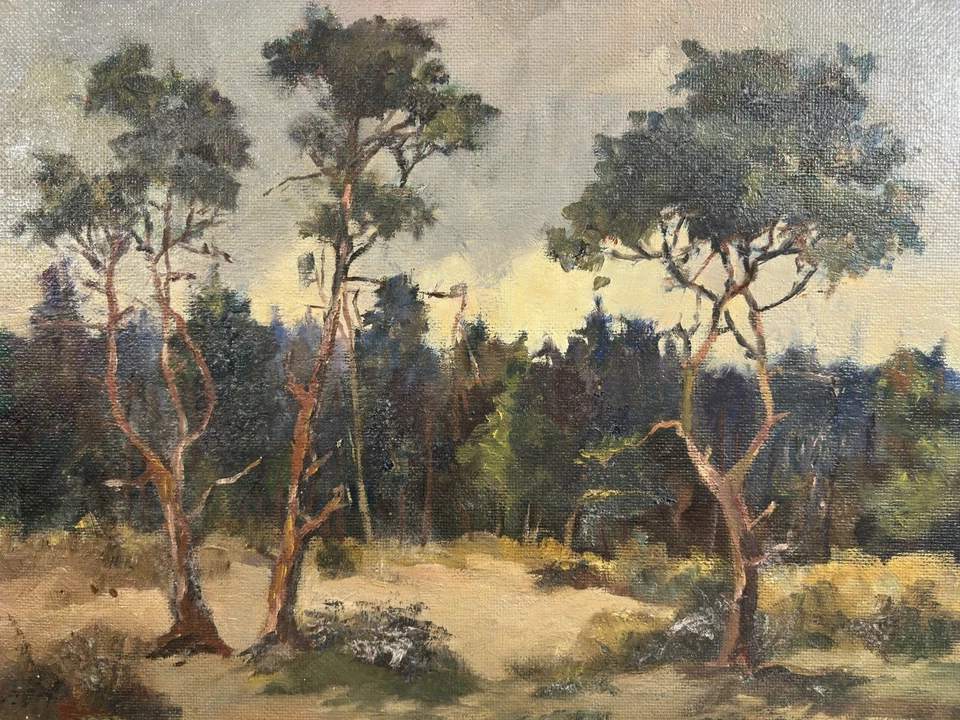 Huile sur panneau signée : paysage vue présumée des Landes Biscarrosse - Photo 3/4