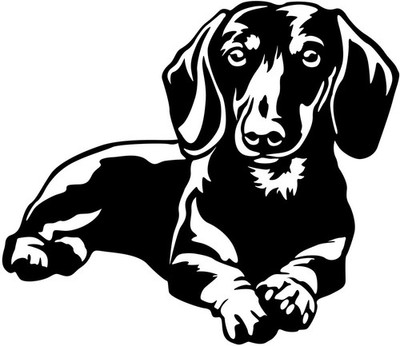 DACKEL TECKEL Aufkleber - Kurzhaardackel  Autoaufkleber - Dackel sticker #34