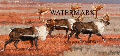 Bob Kuhn -  Caribou THREE DUDES   Big Game Hunting - 17x36 Print REPRODUCTION