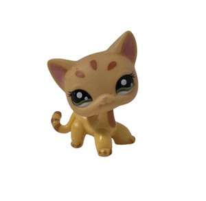 Petshop Chat Europeen d’occasion | Plus que 3 exemplaires à -75