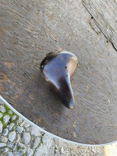 Selle De Vélo Ancienne Dame 1915/25 Unic 