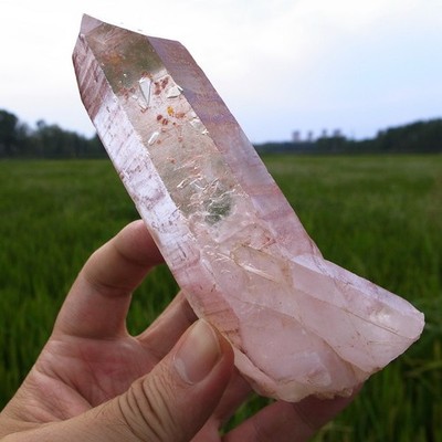 Samadhi!! Intriguing Sacred PINK Lemurian Quartz- Power Amplifier Wand- Brazil