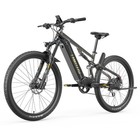Lankeleisi MG600 Pro 250W 29" E-Mountainbike Ebike Elektrofahrrad 48V 20Ah Akku