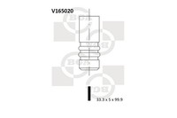Einlassventil BGA V165020 FüR Ypsilon RU8 Lancia Ford KA Fiat Punto EVO Idea VAN