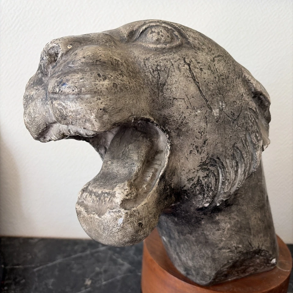 ancienne statue sculpture tête lionne panthère tigre art plâtre d'atelier 19éme - Photo 3/4