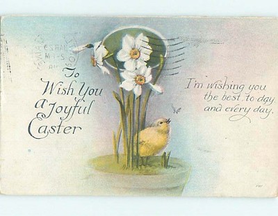 1918 Easter CHICK WATCHES INSECT FLYING ABOVE ITS HEAD o6550