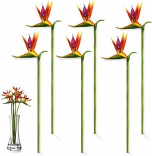 Artificial Bird of Paradise Flowers 24.5 Inch Fake Tropical Long Stem Faux