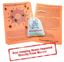 Mexican Jumping Beans - sack of 120+ jumping beans with 12 racing game sheets