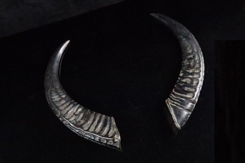 Horns to the Helmet - Armor Japan Original - Picture 8 of 12