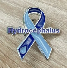 Hydrocephalus Awareness Enamel Ribbon Metal Pin Clutch Charm Jewelry Tie Tac