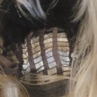 Bild 7 von 8