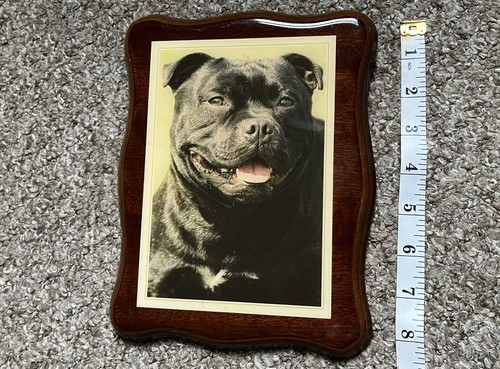 Vintage Staffordshire Bull Terrier wooden picture Collectable Vintage 