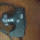 Foto 5 di 12