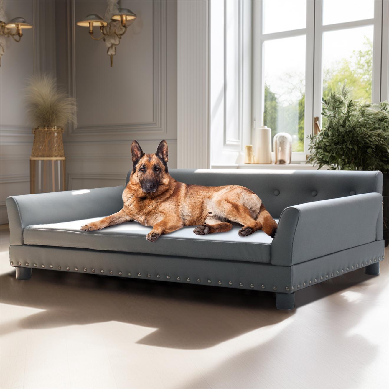 Divano di lusso per cani e gatti in pelle antigraffio