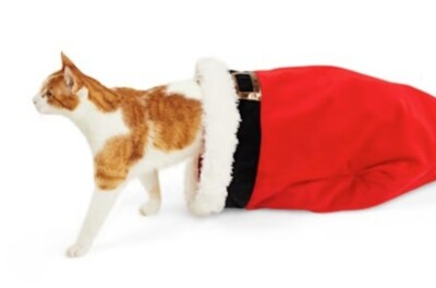 Festive Petstages Santa Paws Play Sack Cat Toy With Crinkle 20x17 Hide SleepBag