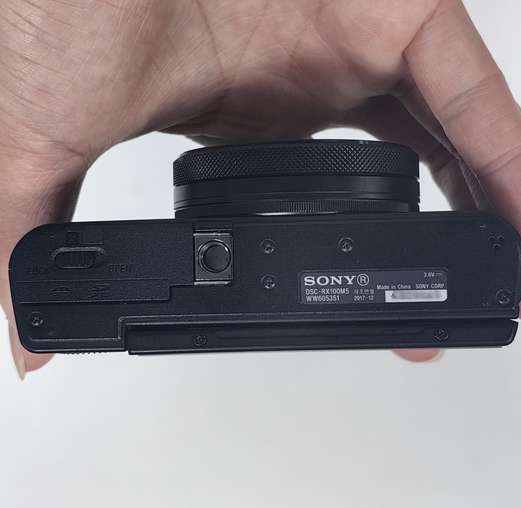 Sony Cyber-Shot DSC-RX100V RX100M5 Compact Digital Camera Flip