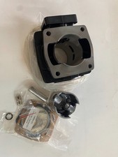 EZGO Marathon 2-Cycle Cylinder and Piston Rep...