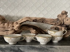 Set Of 6 Beautiful Antique KPM Berlin Hand Painted Gold  &White Tea Cup