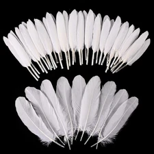 iHUFeather 270pcs White Goose Feathers for Crafts 2 Styles 4-7 inch 