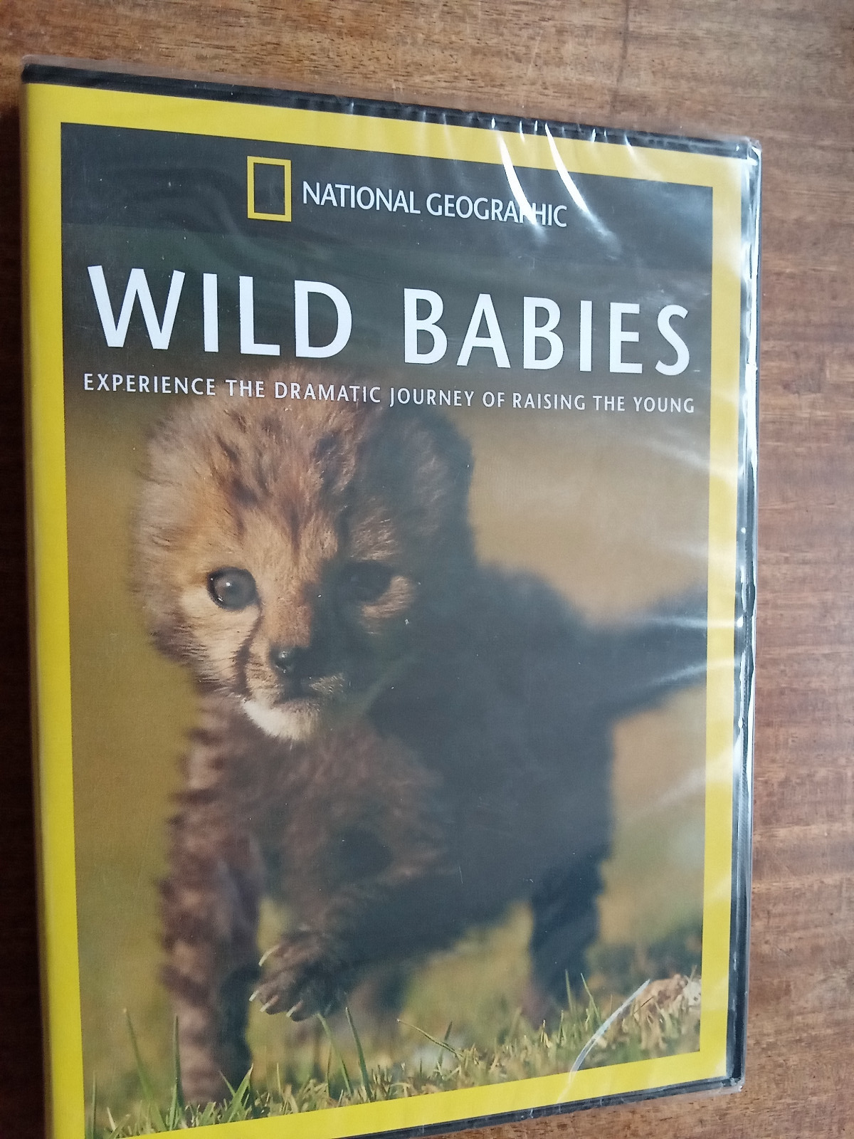 National Geographic Wild Babies (2011) DVD Region 2 New & Sealed