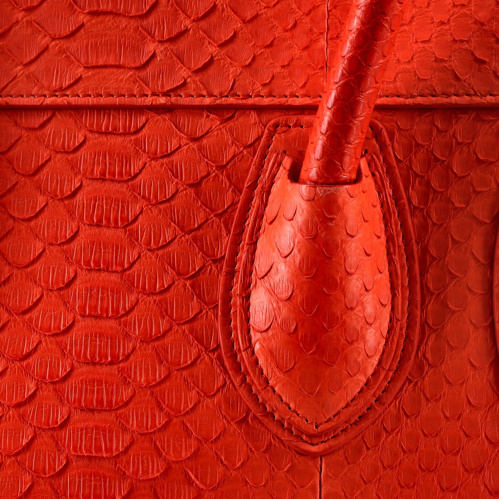 Celine Luggage Bag Python Mini - image 6