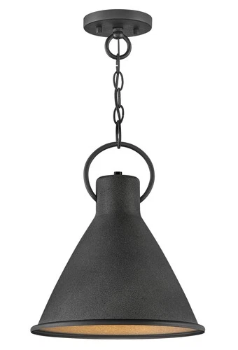 Hinkley Lighting 3557 Winnie 1 Light 12"W Pendant - Aged Zinc / Distressed Black - Picture 5 of 12