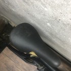 Picture 12 of 16